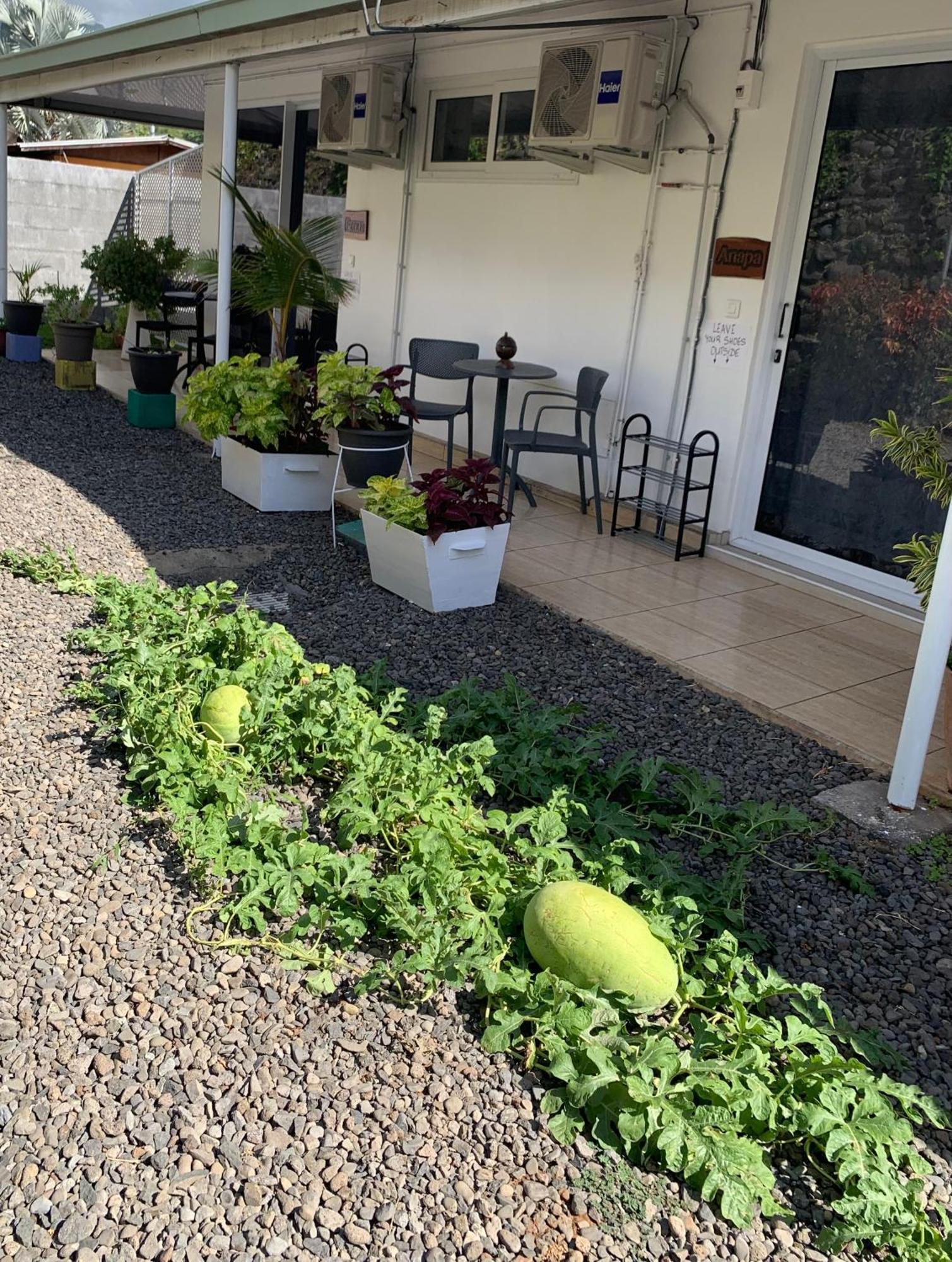 A Tomo Mai Homestay, Close To Airport, Private Bathroom Free Parking And Wifi With High Connection And Breakfast Optional فا المظهر الخارجي الصورة